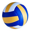Go to Volleyball Website